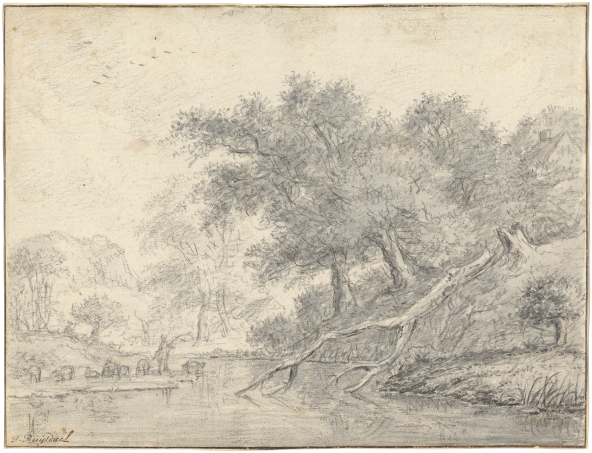 Jacob van Ruisdael, Forest Landscape with a Fallen Tree