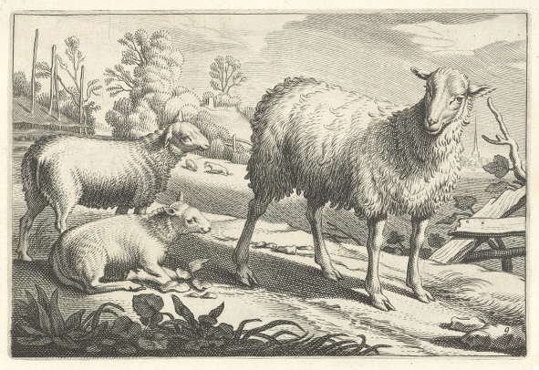 Jacob Gerritsz Cuyp, Pasture with a Sheep and Two Lambs